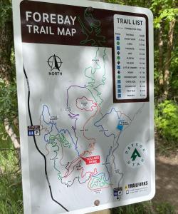Miles of designated trails